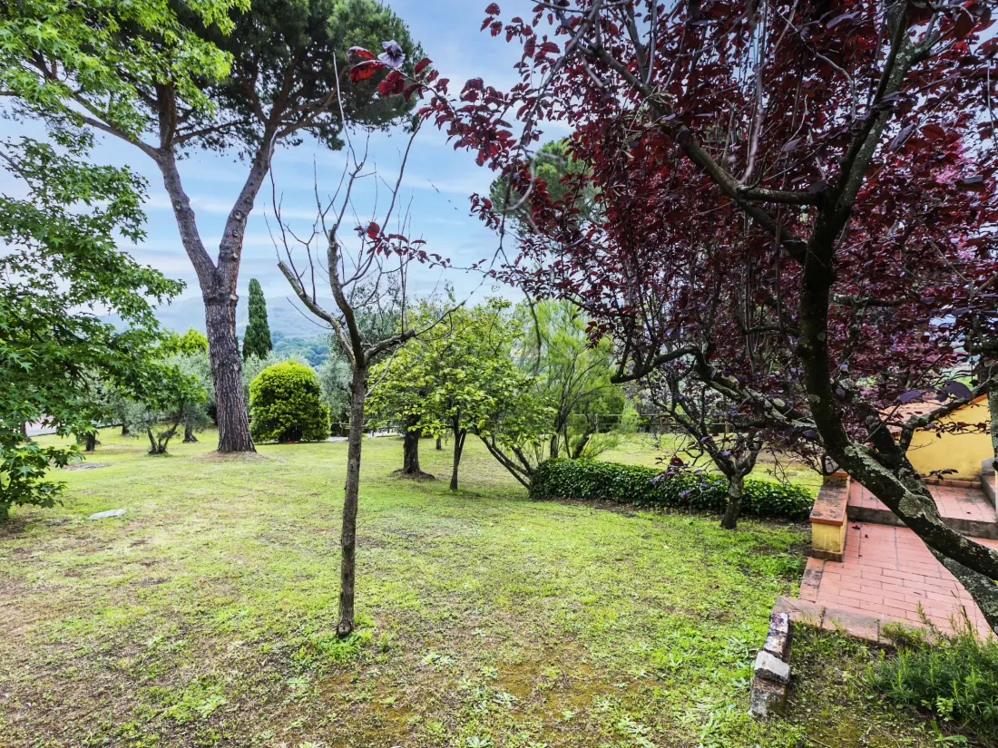 Maison de Vacances Monsummano Terme