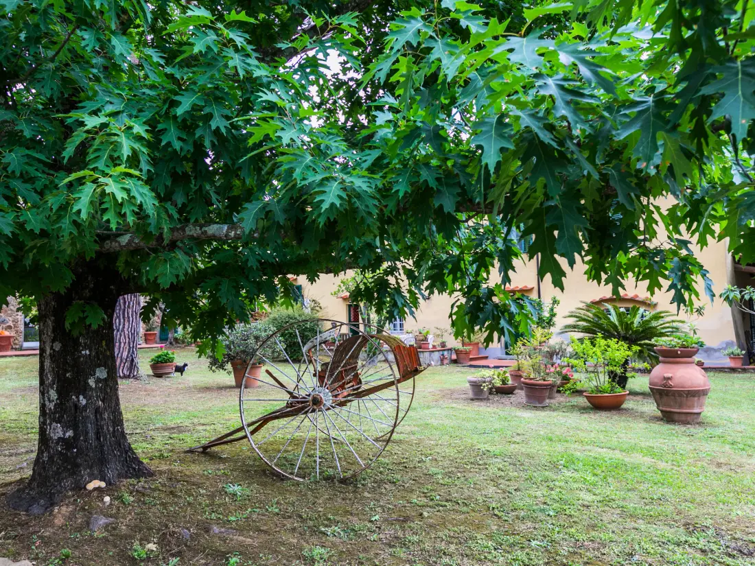 Maison de Vacances Monsummano Terme