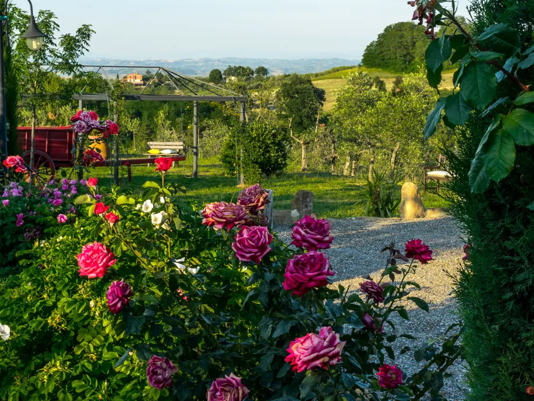 Maison de Vacances Montaione