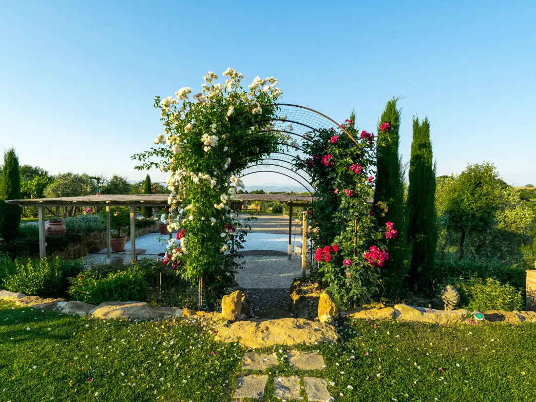 Maison de Vacances Montaione