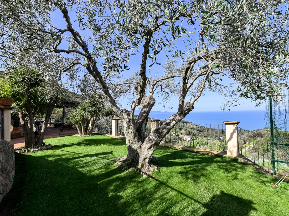 Maison de Vacances Monte Argentario
