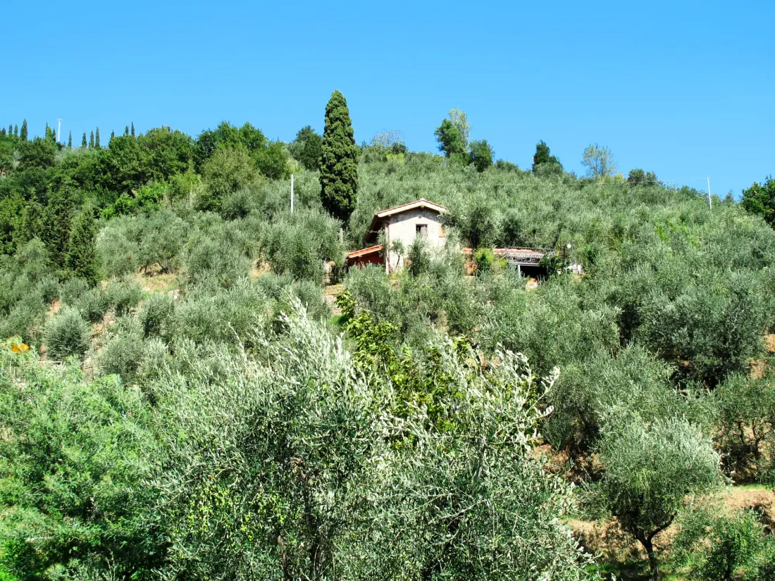 Maison de Vacances Montecatini Terme