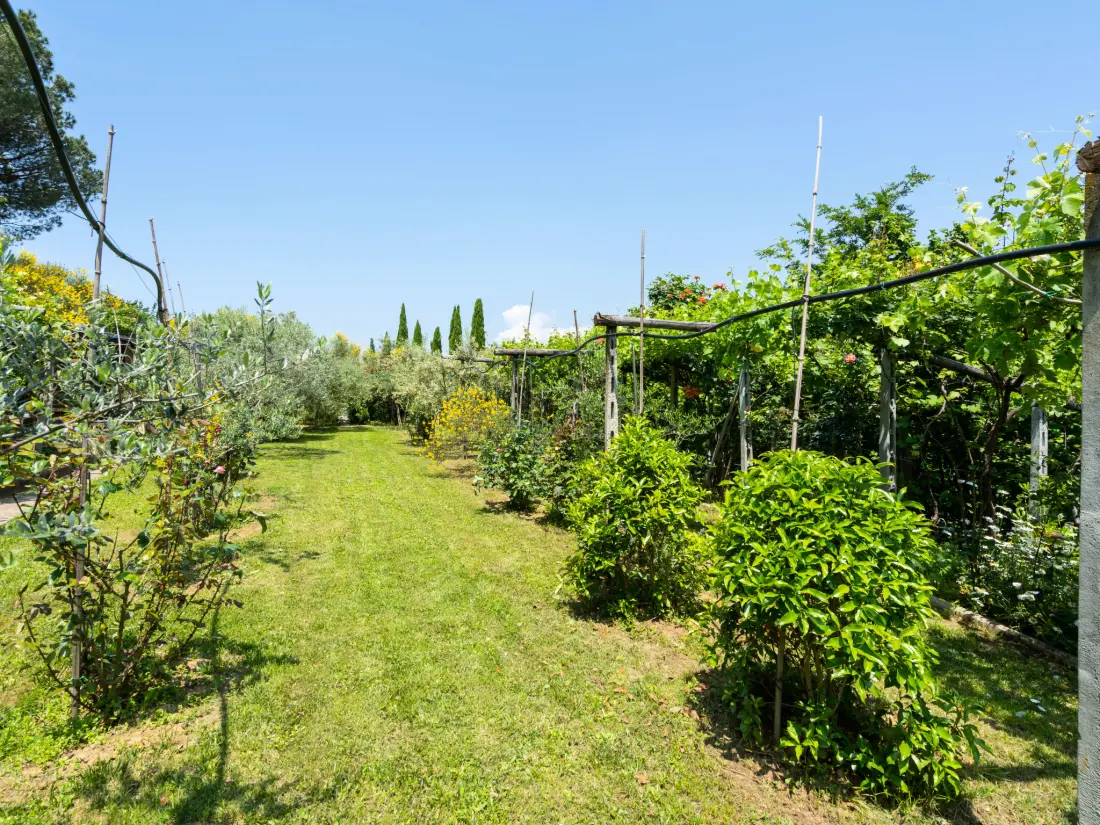 Maison de Vacances Montelupo Fiorentino