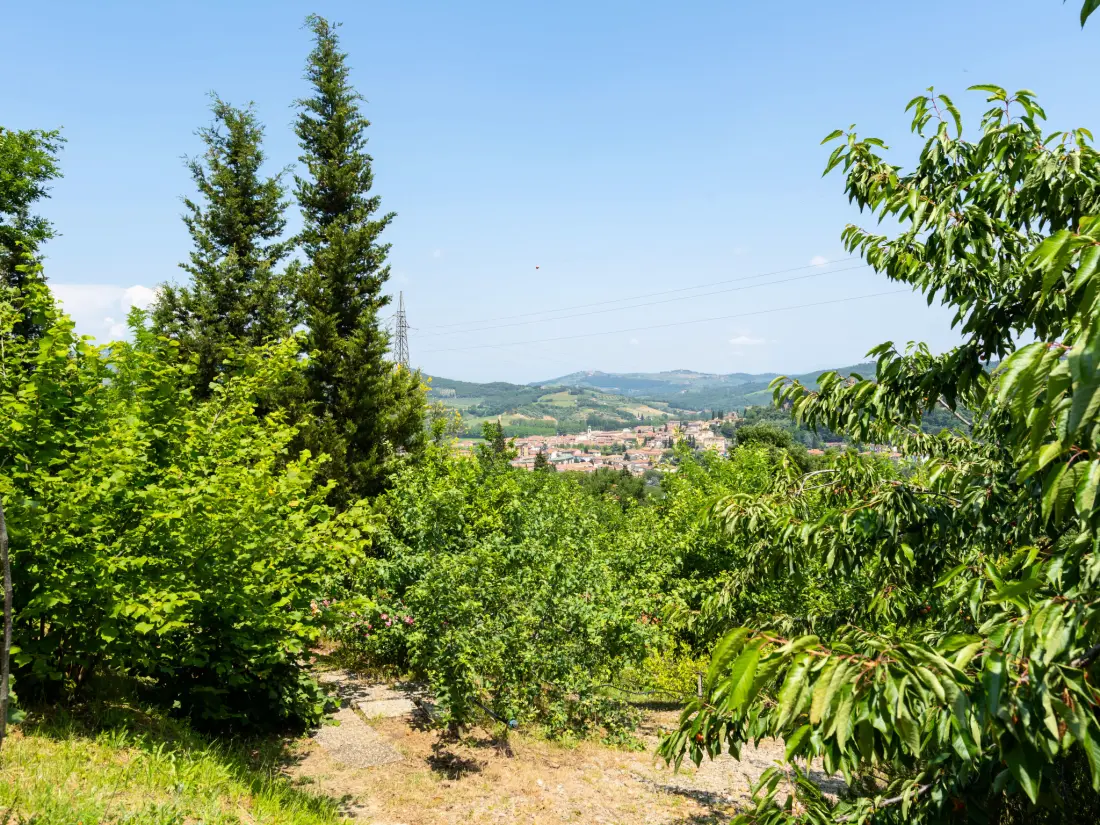 Maison de Vacances Montelupo Fiorentino