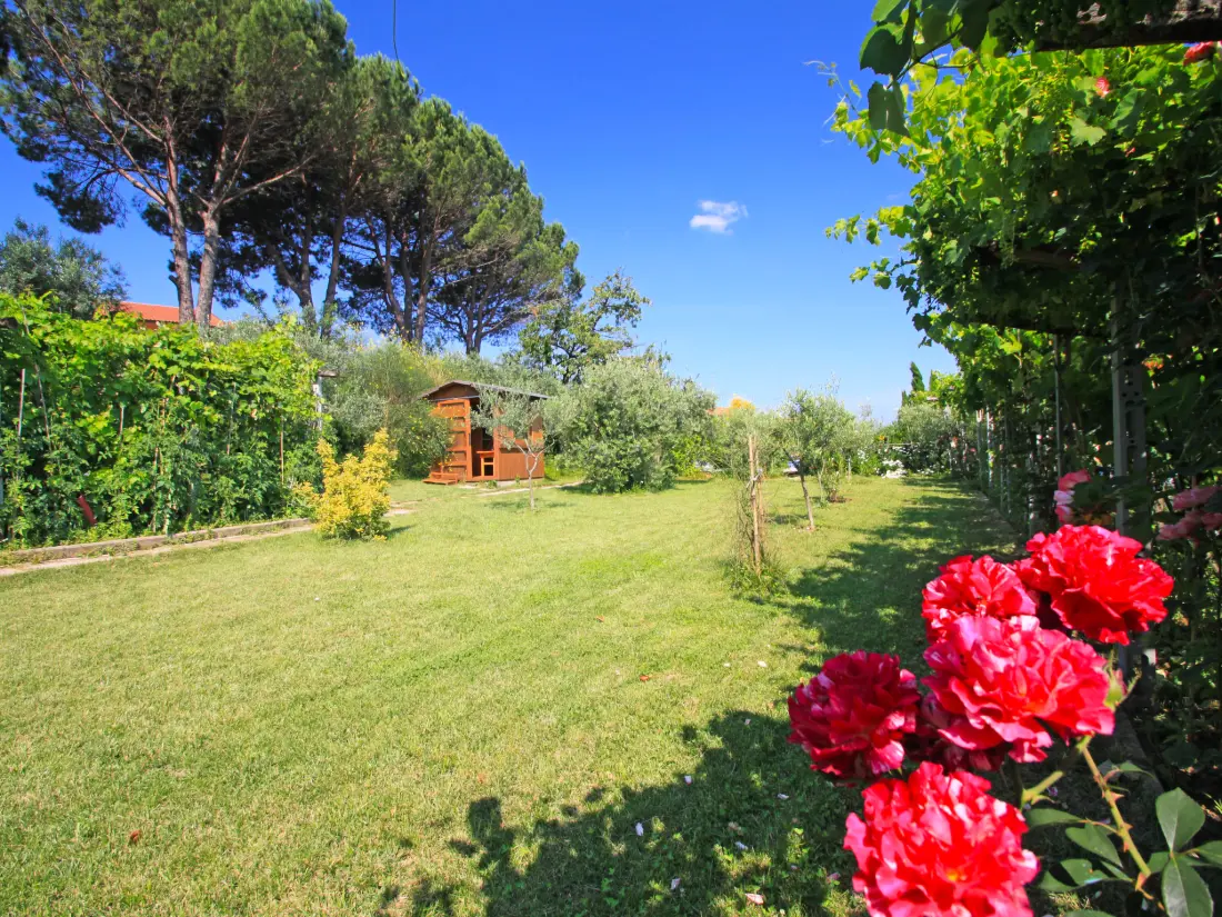 Maison de Vacances Montelupo Fiorentino