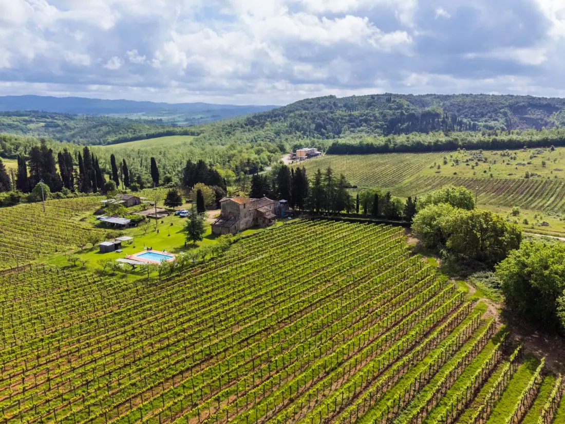 Résidence Fattoria Petraglia - Cedro