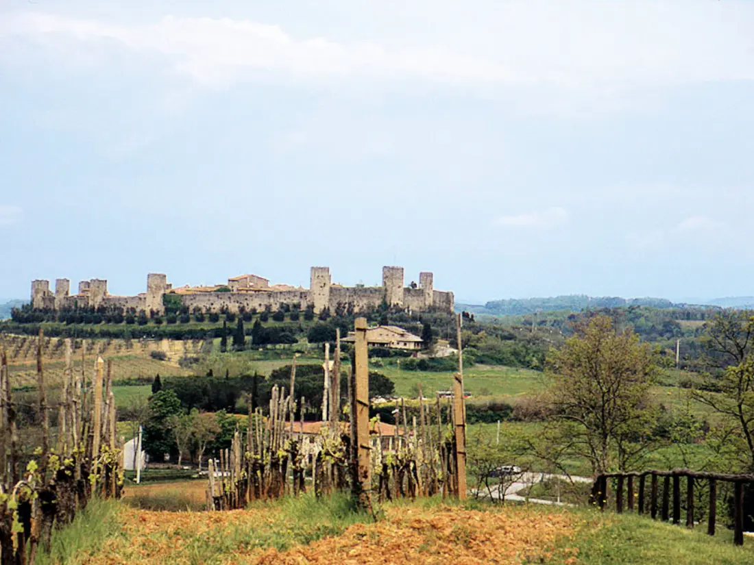Résidence Fattoria Petraglia - Cedro