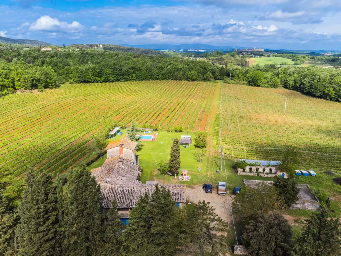 Résidence Fattoria Petraglia - Cedro
