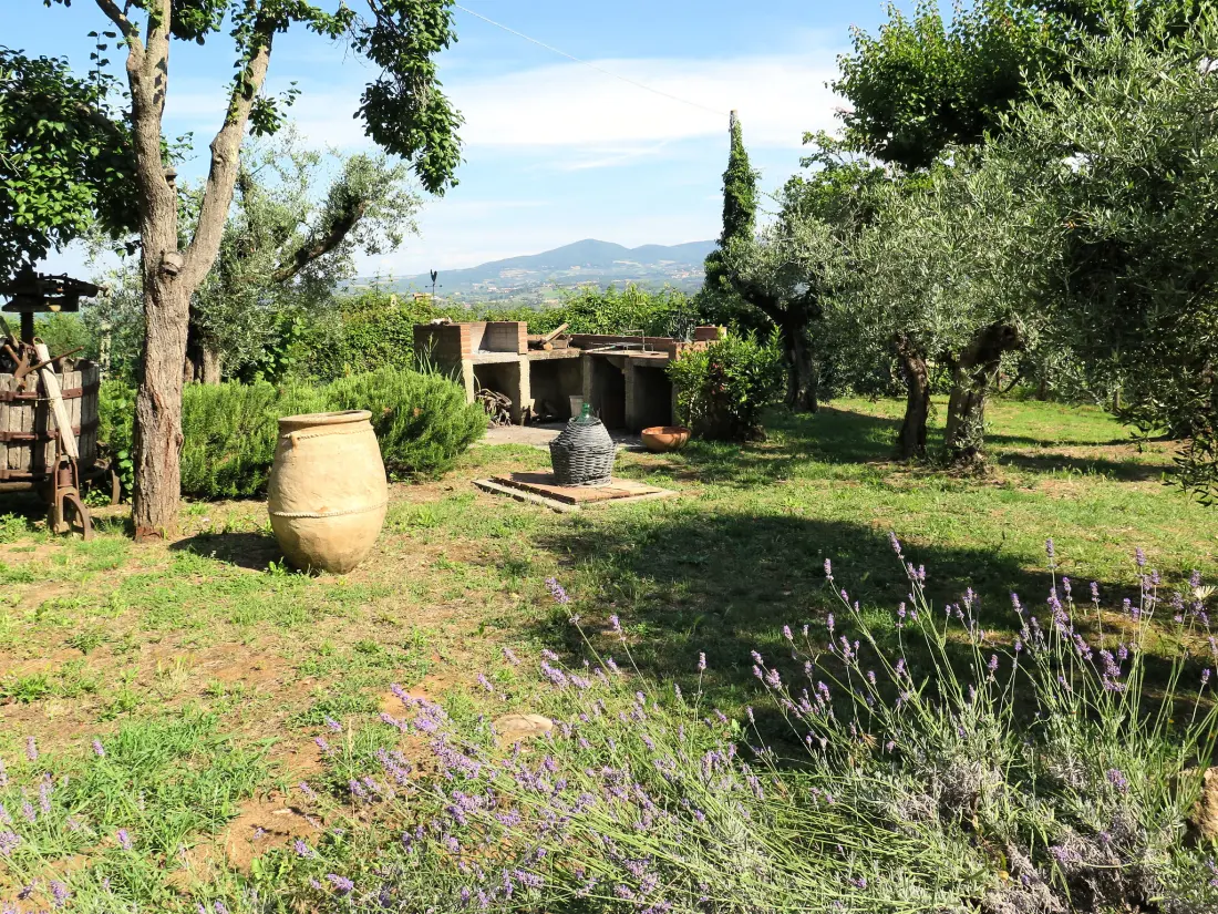 Maison de Vacances Montescudaio