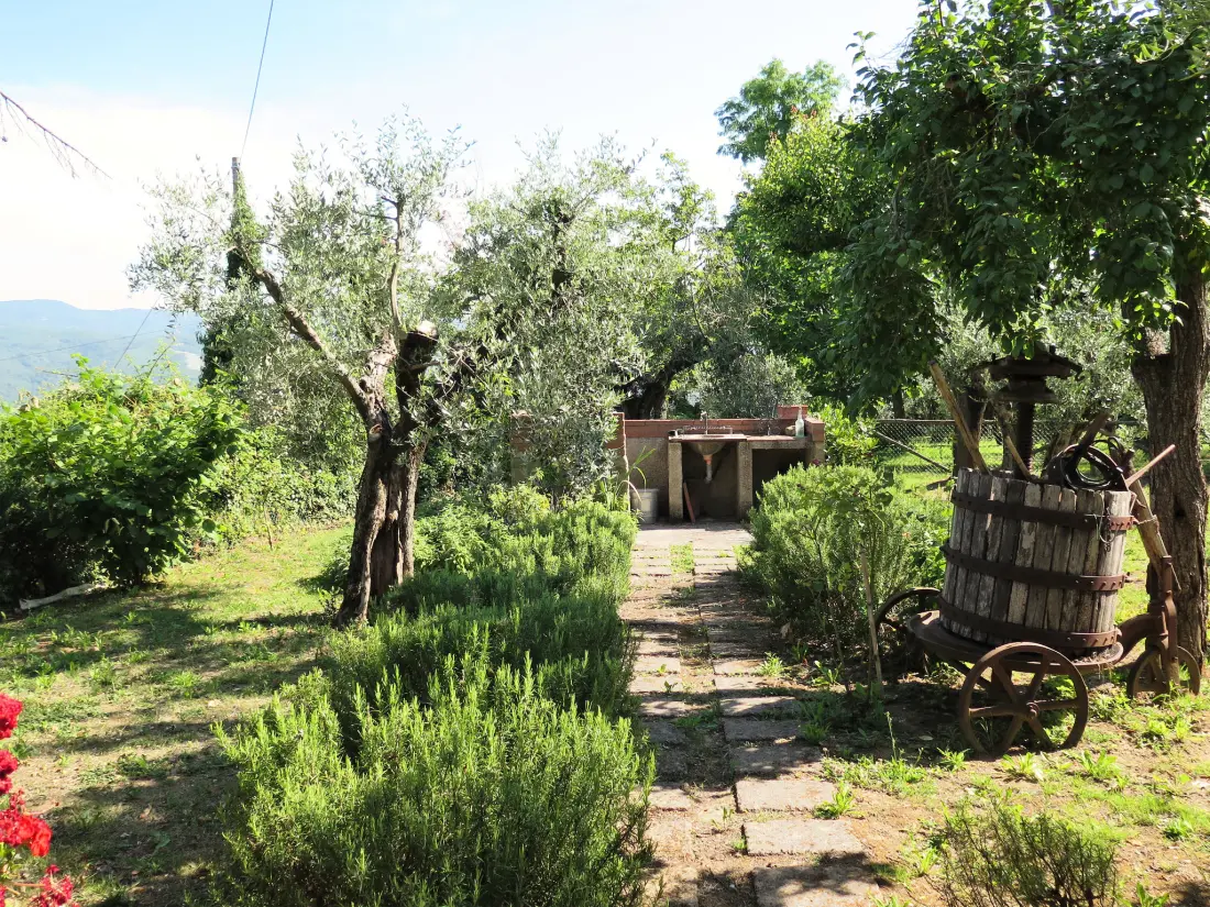 Maison de Vacances Montescudaio