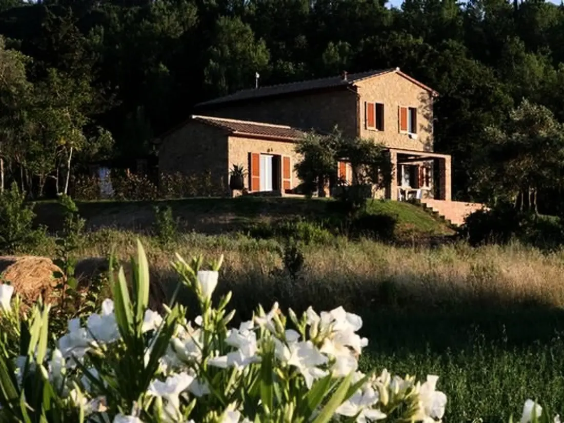 Maison de Vacances Montescudaio