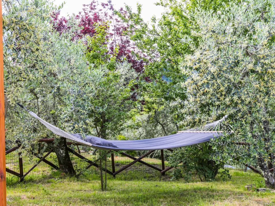 Maison de Vacances Montevarchi