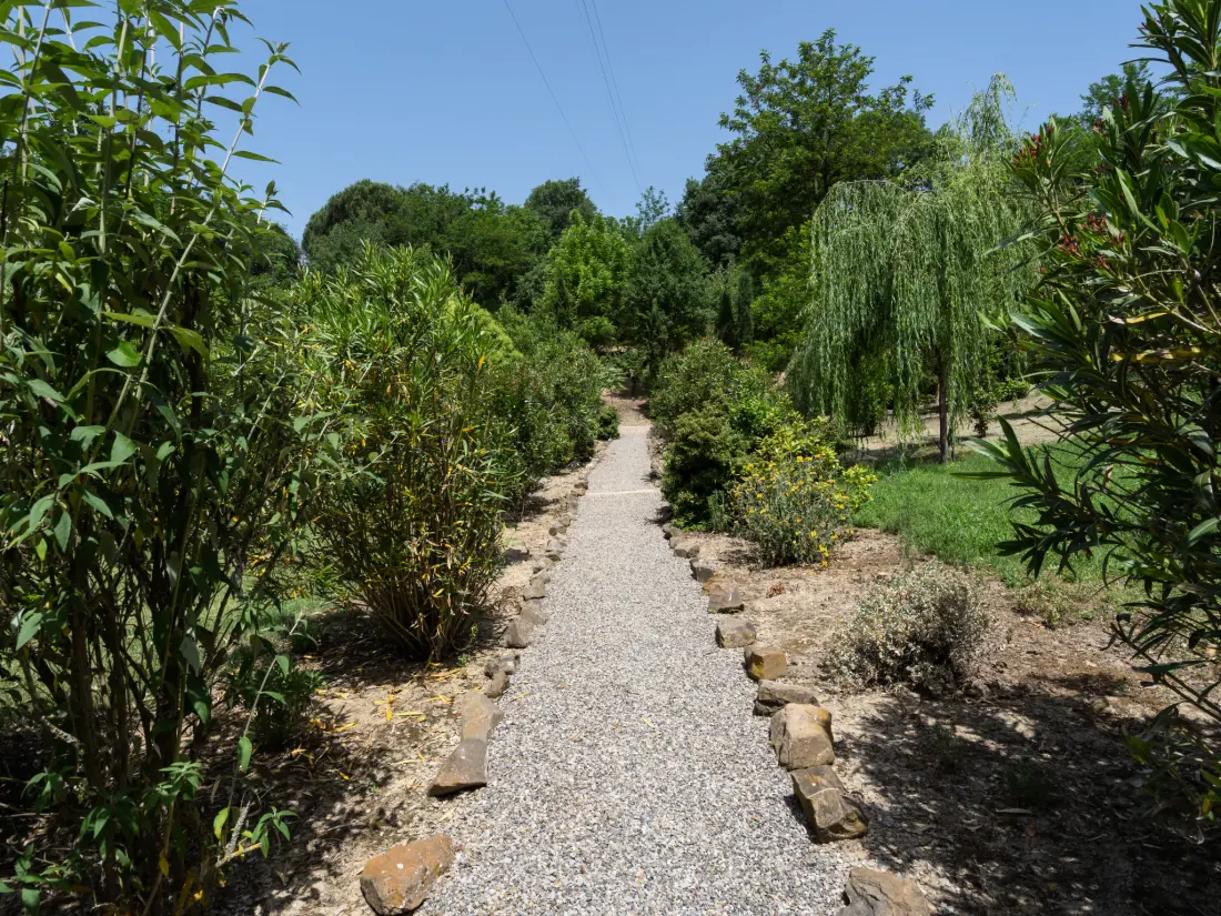 Maison de Vacances Montevarchi