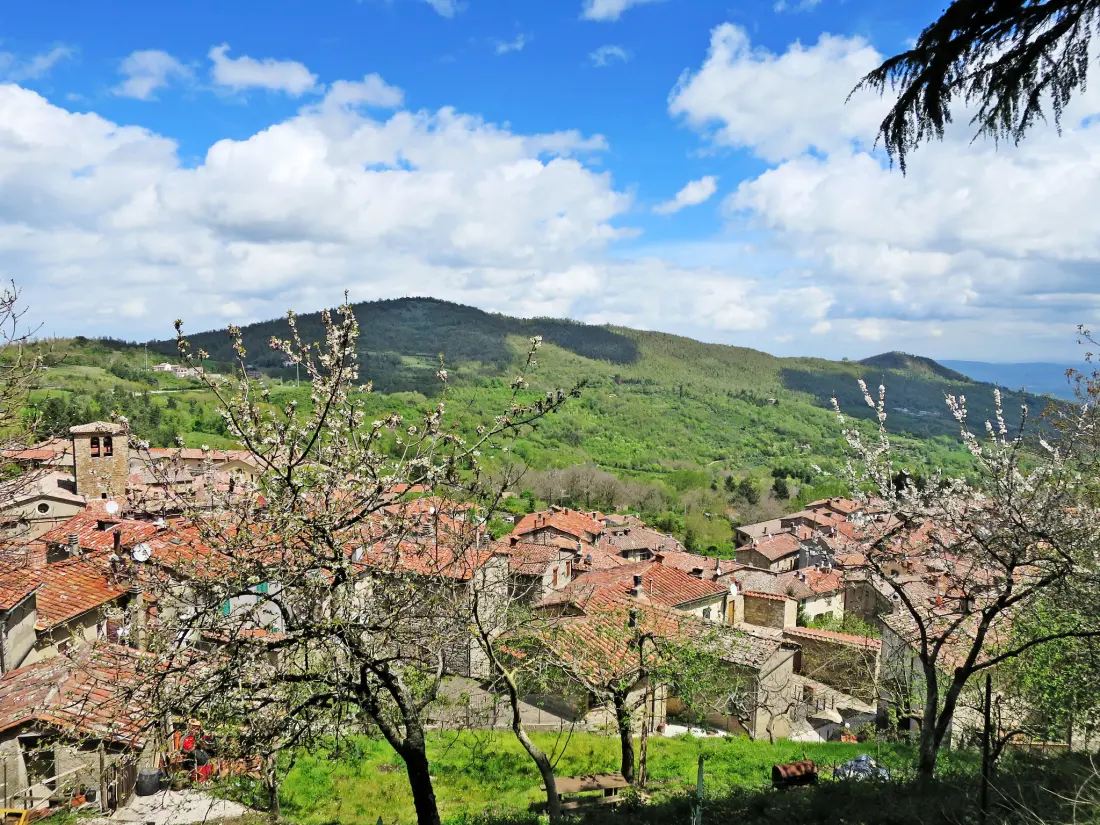 Maison de Vacances Montieri