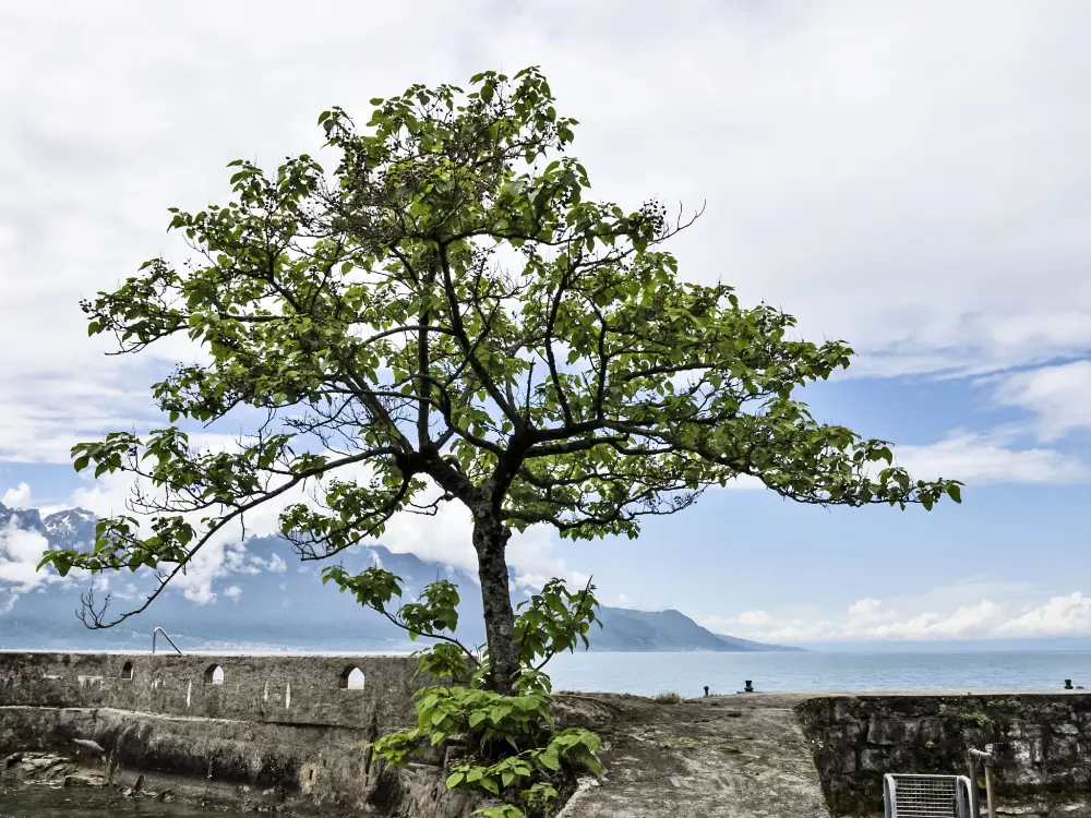 Maison de Vacances Montreux