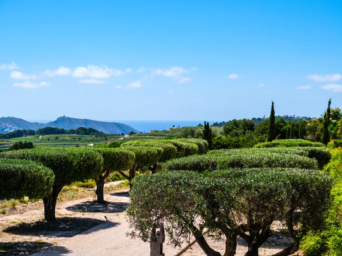 Maison de Vacances Moraira