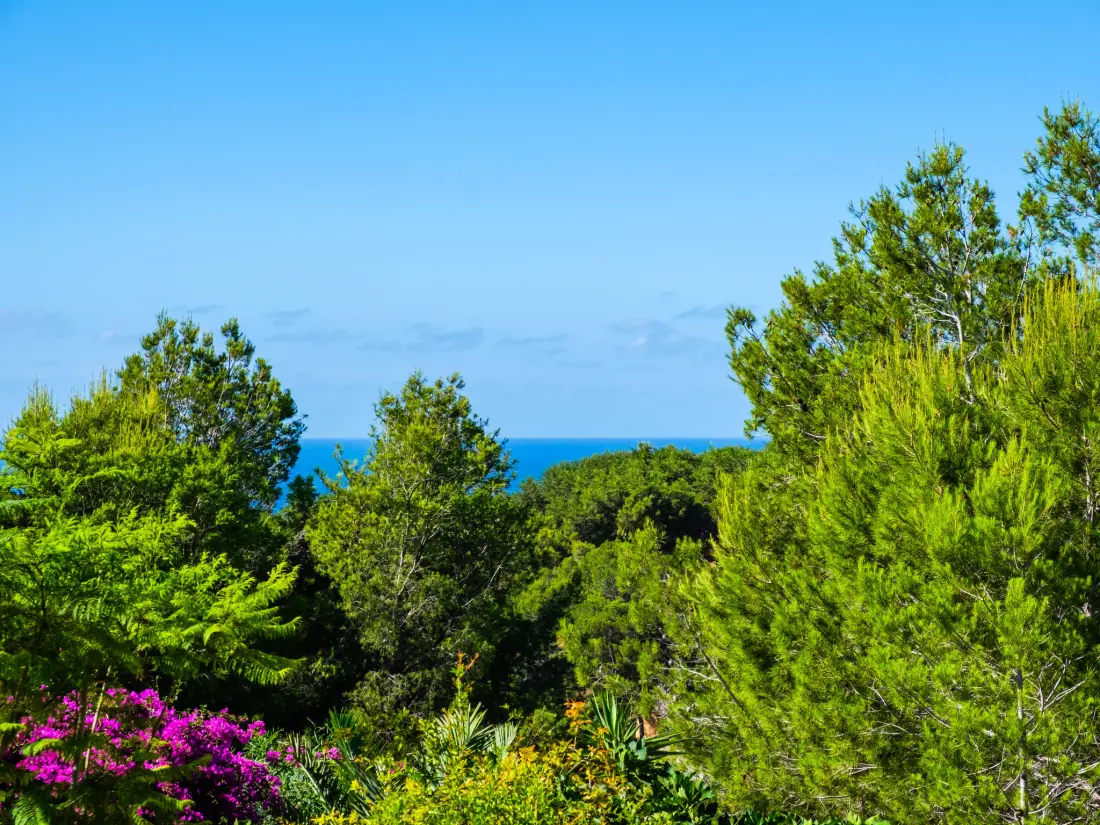 Maison de Vacances Moraira