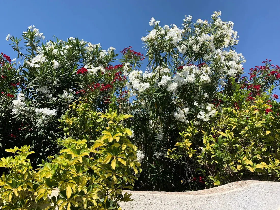 Maison de Vacances Moraira