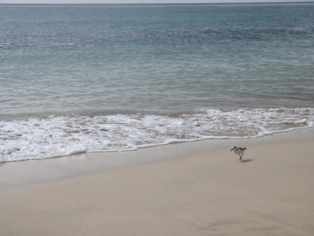 Résidence Strandnahe Ferienwohnung in Morro Jable