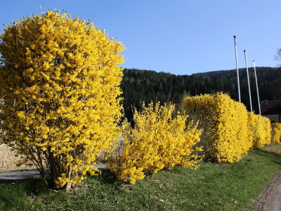 Maison de Vacances Murau