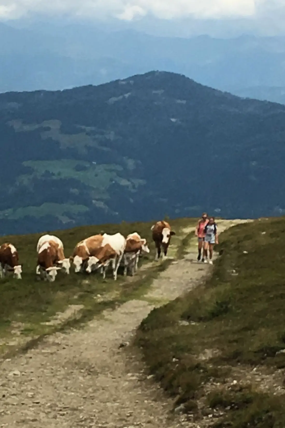 Maison de Vacances Murau