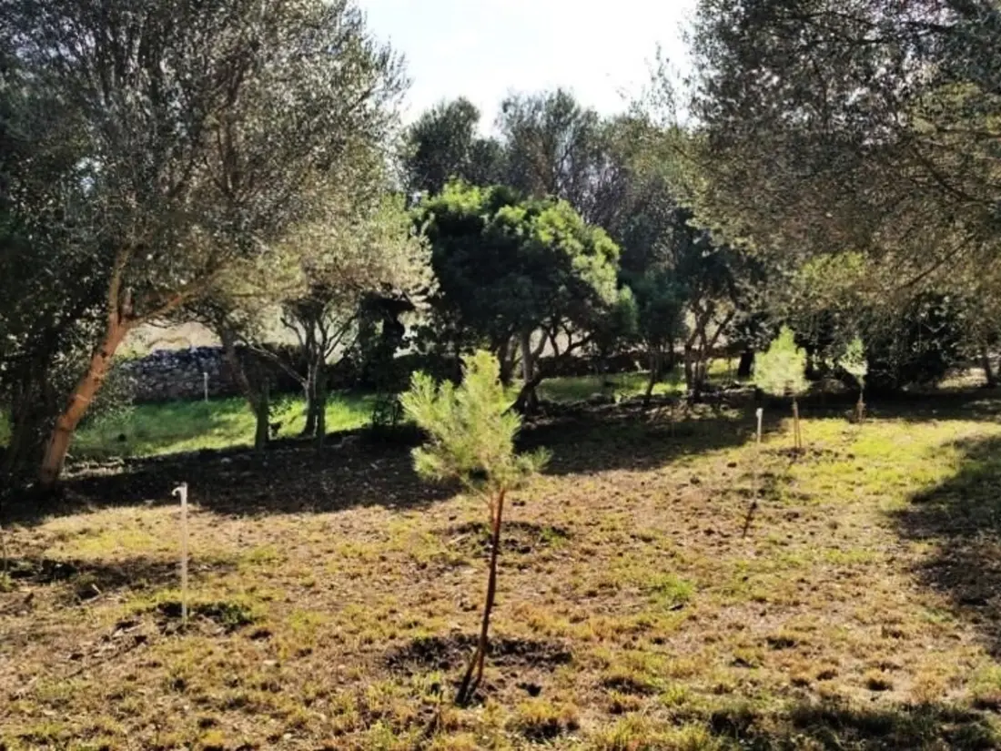 Maison de Vacances Muro