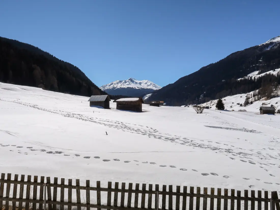Résidence Altes Zollhaus