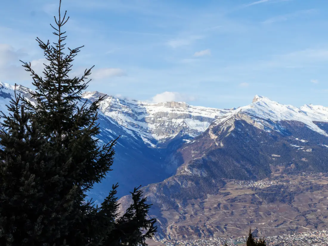 Chalet Nendaz