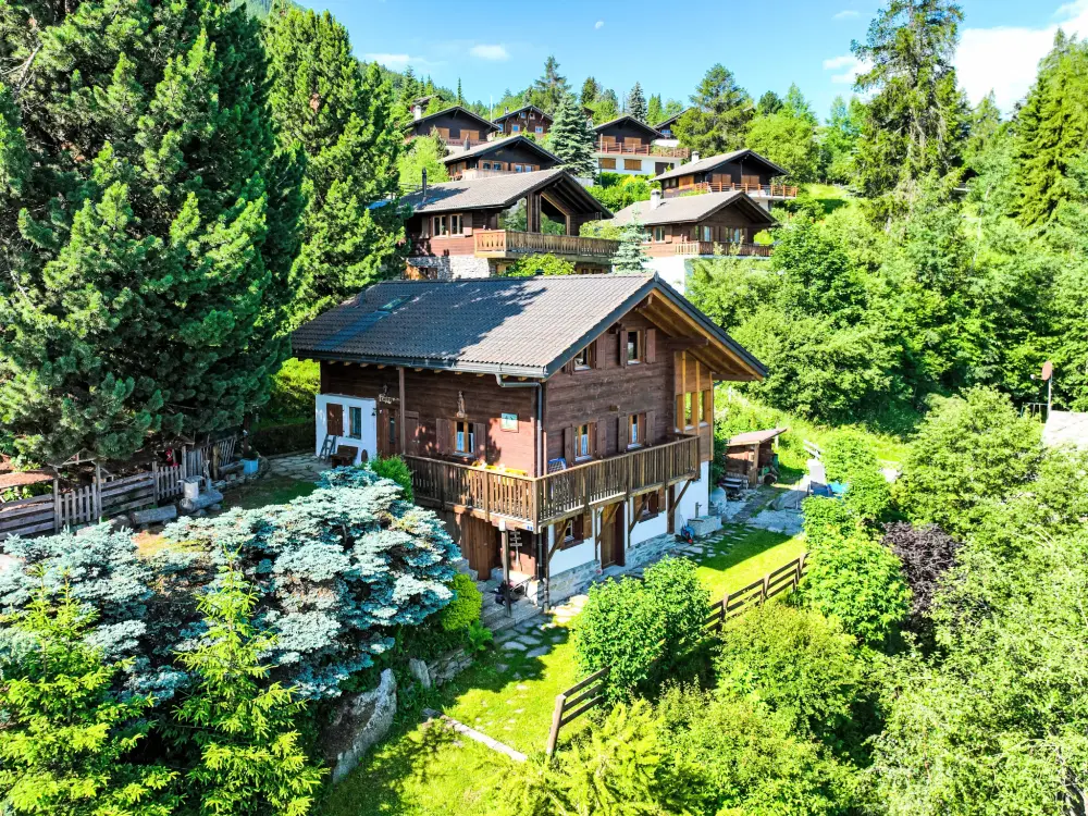 Chalet Nendaz