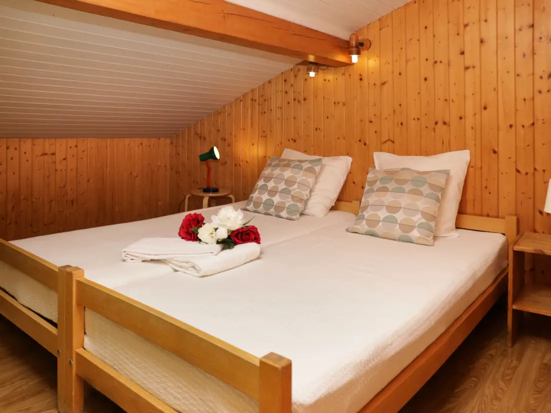Chalet Nendaz