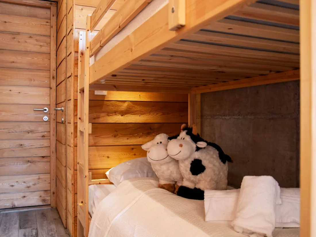 Chalet Nendaz
