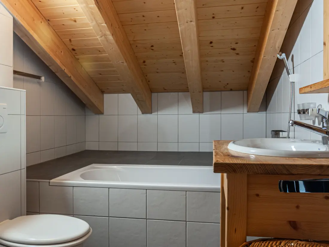 Chalet Nendaz