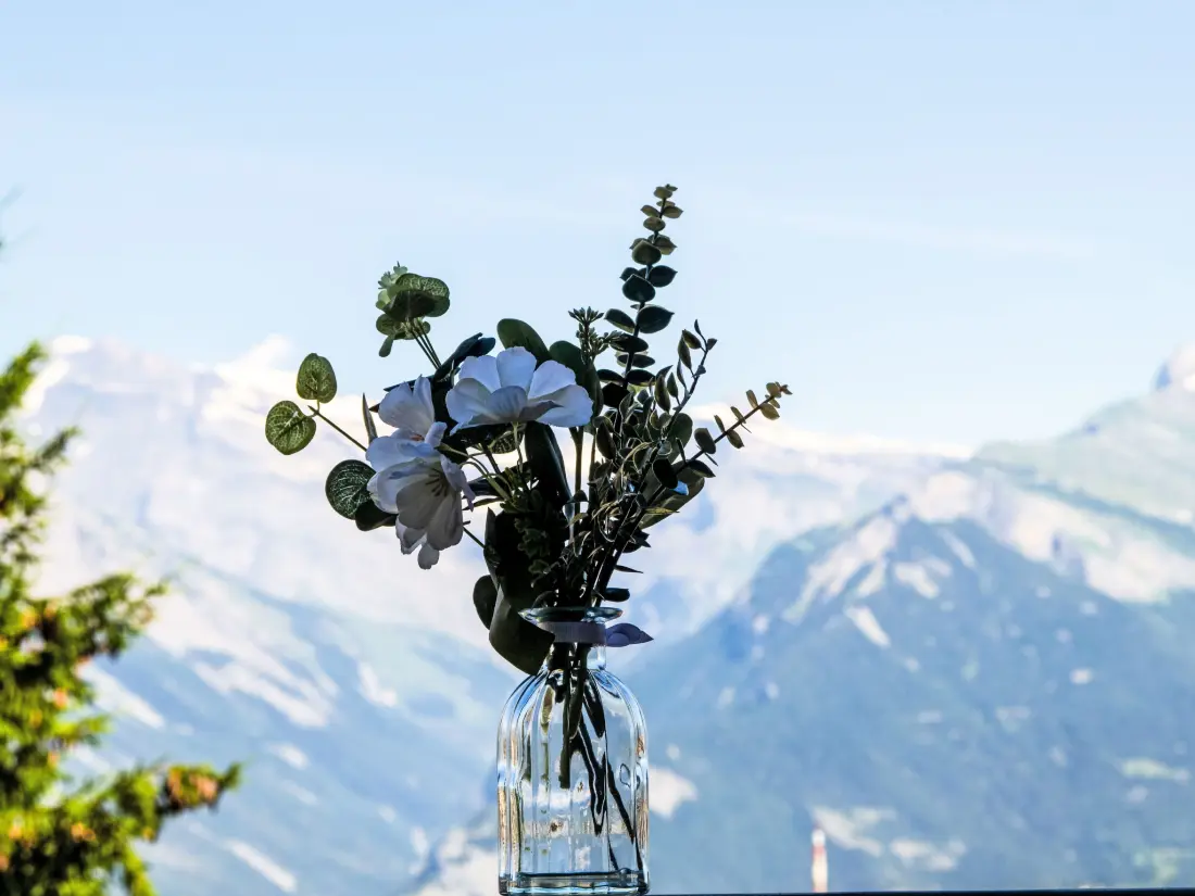 Résidence Hauts De Nendaz BK4