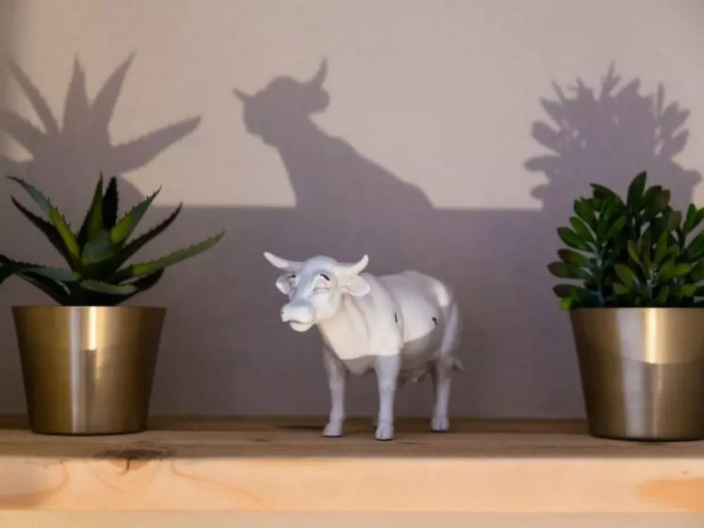 Résidence Nendaz 2 bedroom apartment - close ski lift (R27)