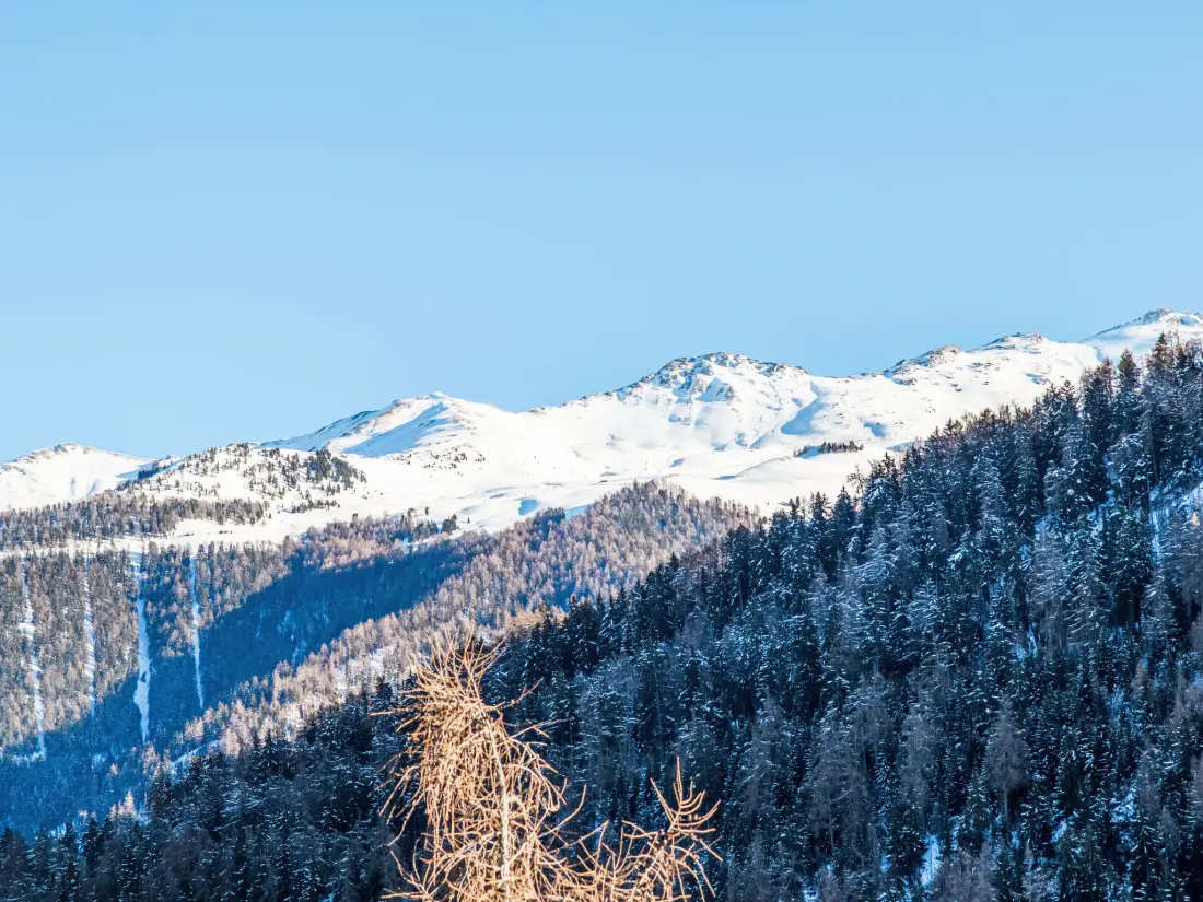 Résidence Aiglon G0