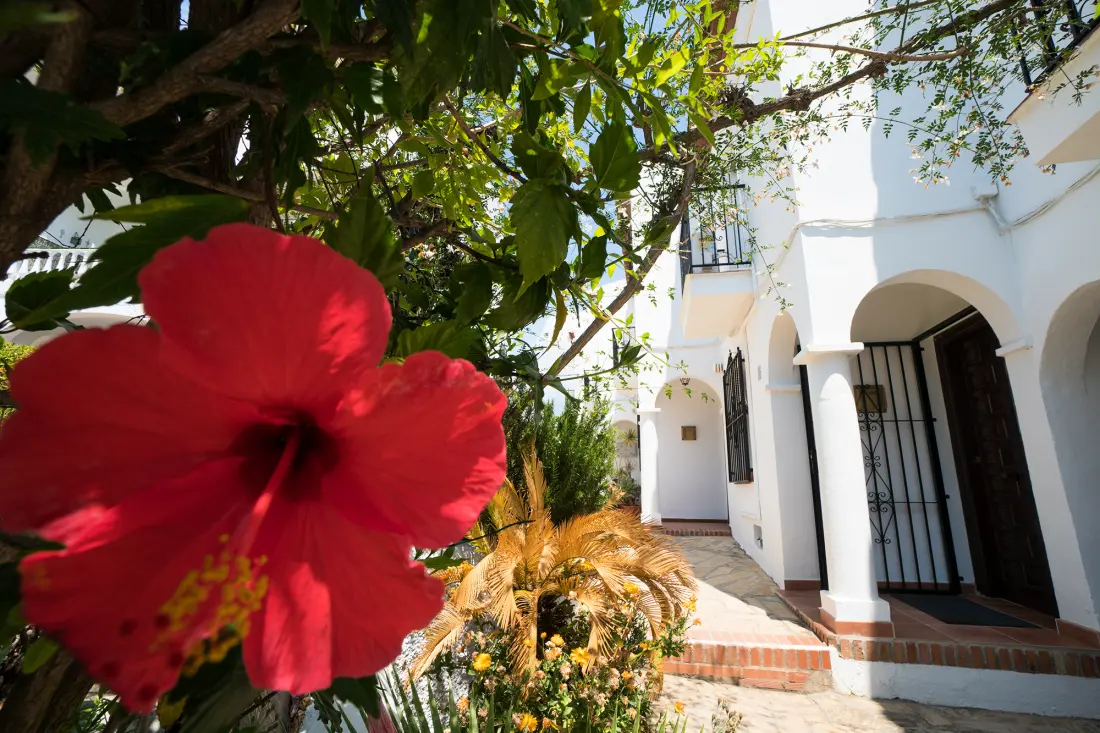Appartements à Nerja