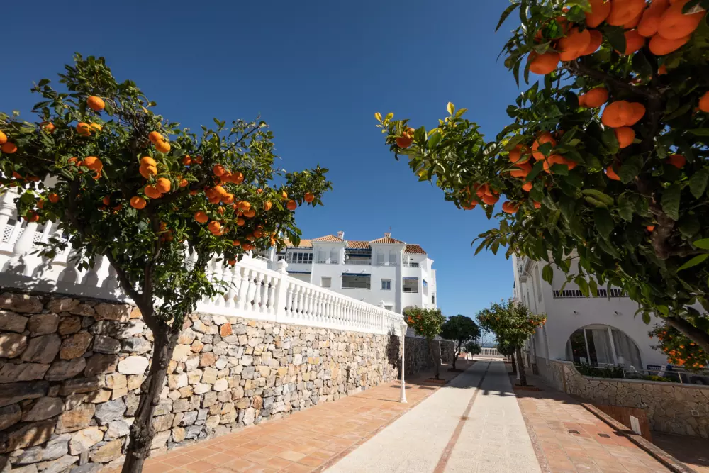 Appartements à Nerja