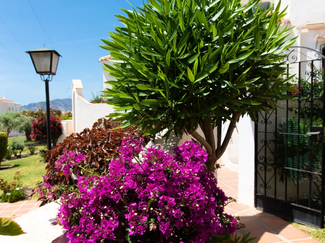 Maison de Vacances Nerja