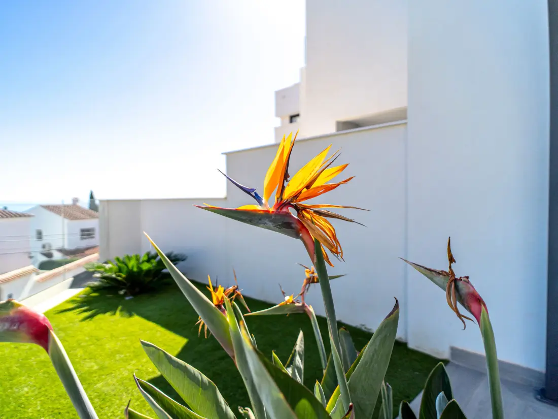 Maison de Vacances Nerja