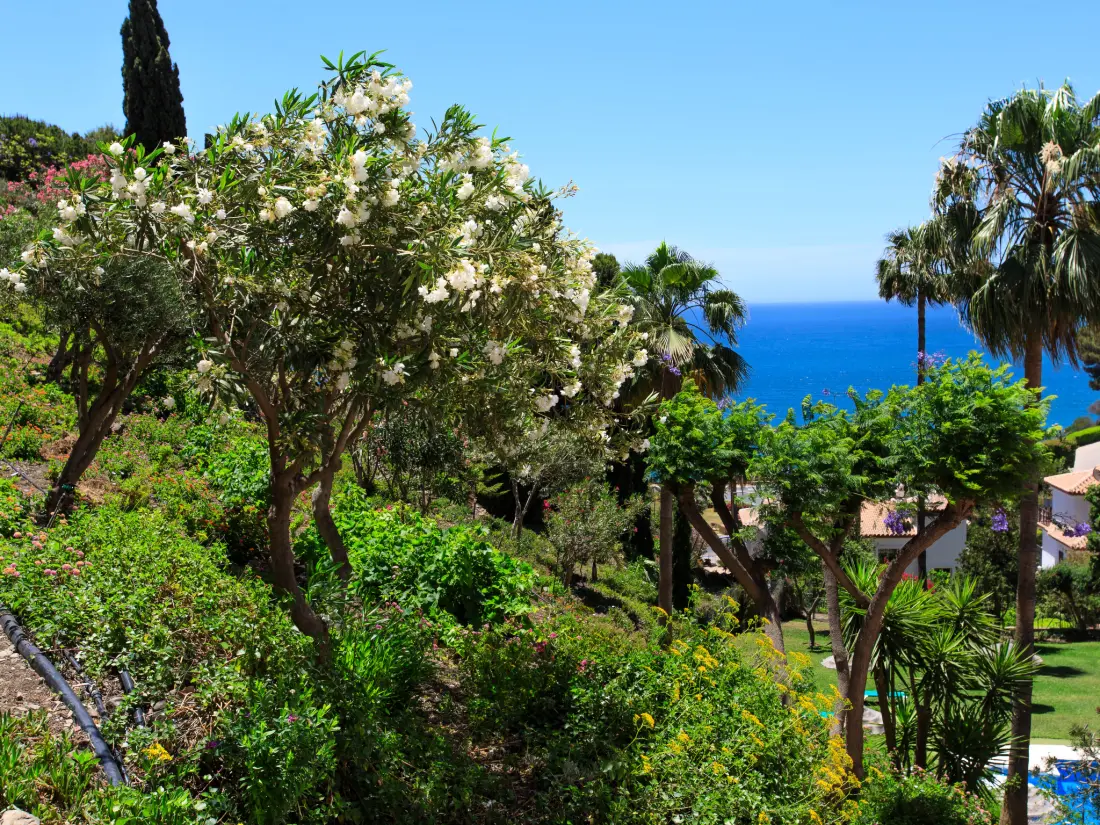 Résidence Ladera del Mar