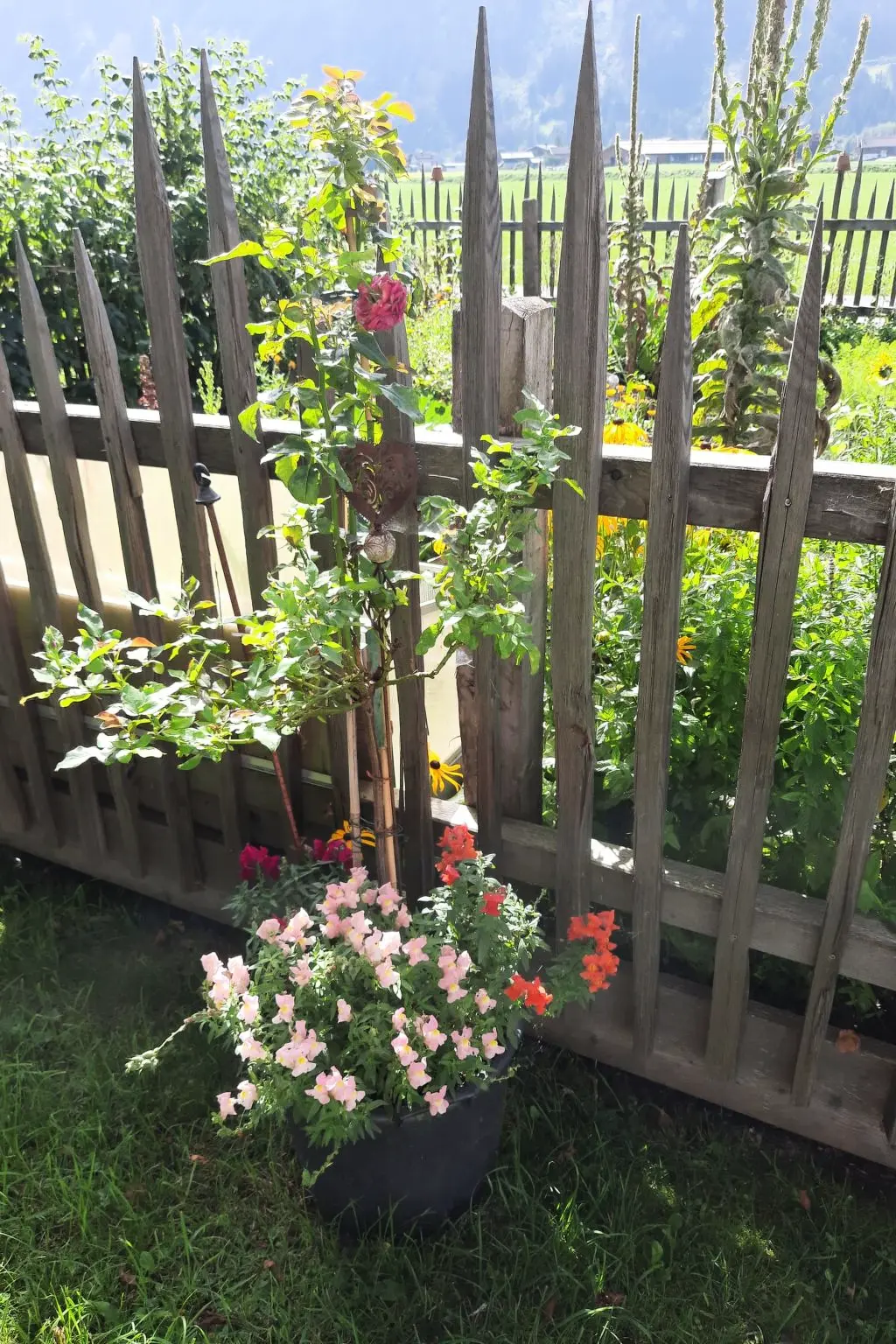 Résidence Althaus