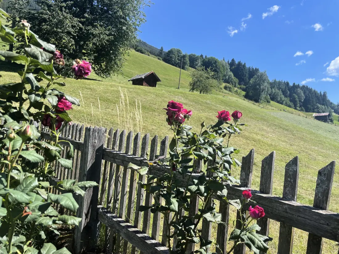 Résidence Panoramaperle