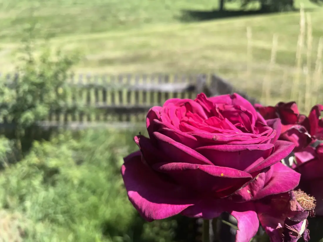 Résidence Panoramaperle