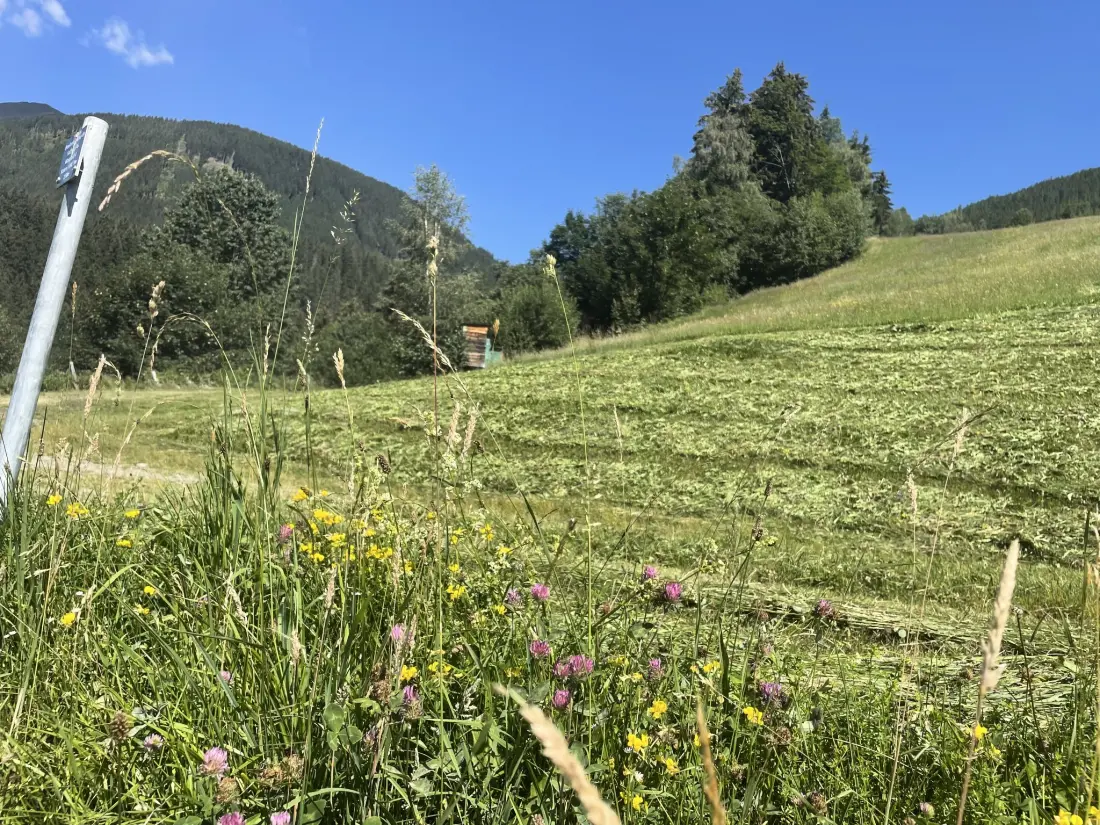 Résidence Panoramaperle