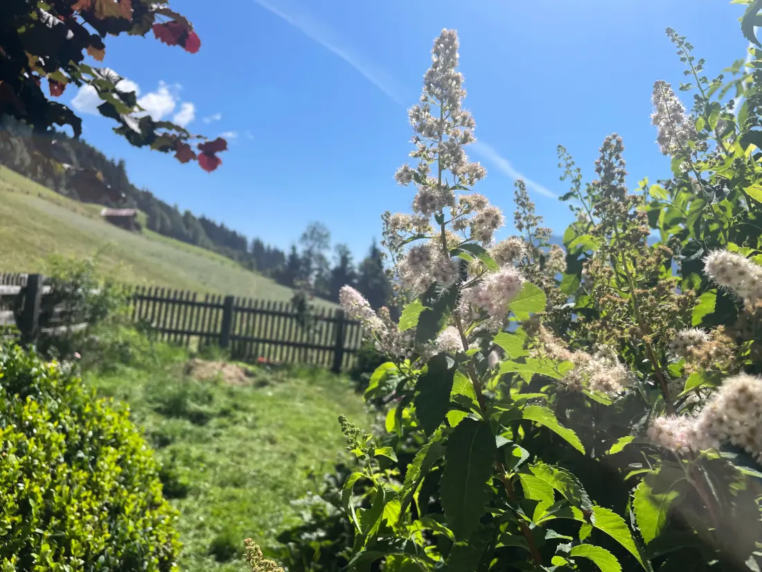 Résidence Panoramaperle