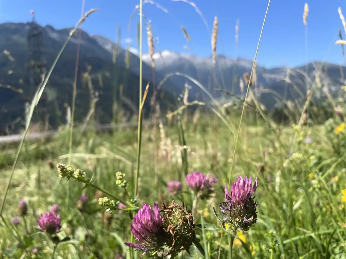 Résidence Panoramaperle
