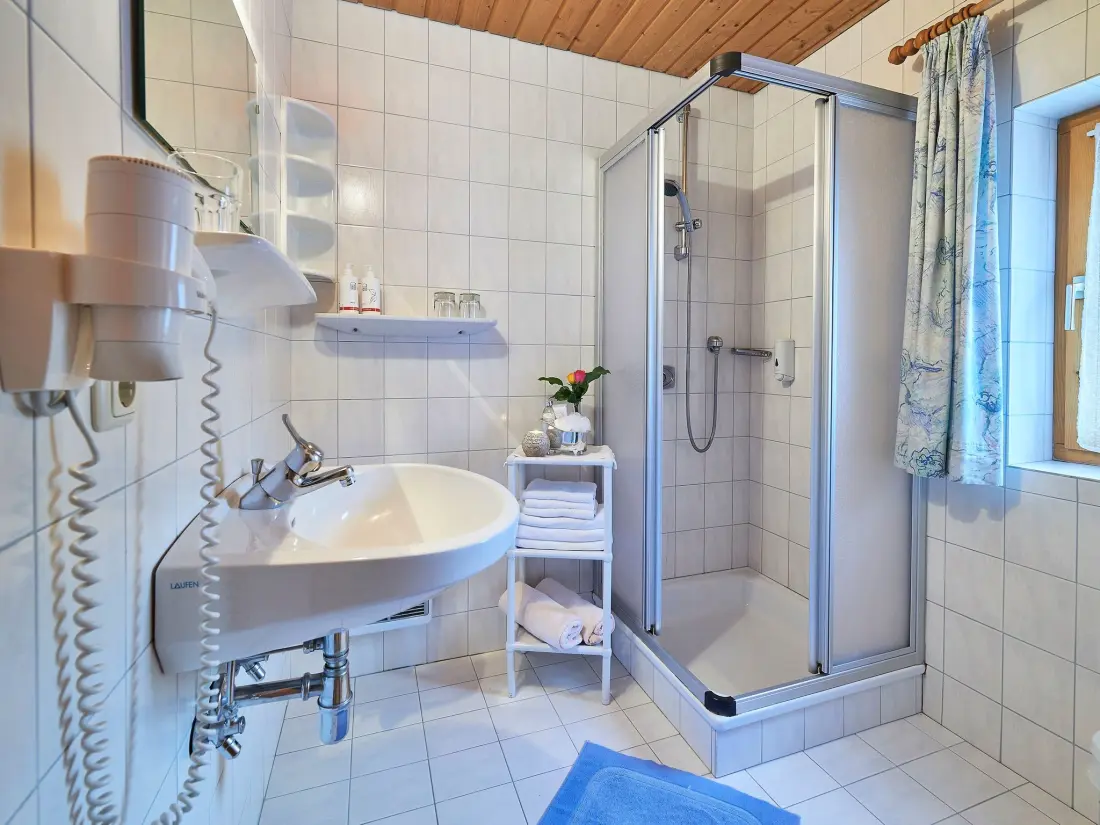 Résidence Wohnung Biohaus in Neukirchen am Großvenediger