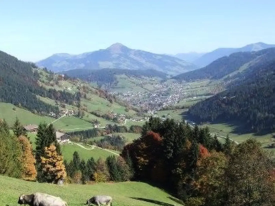 Résidence Fewo Bergblick