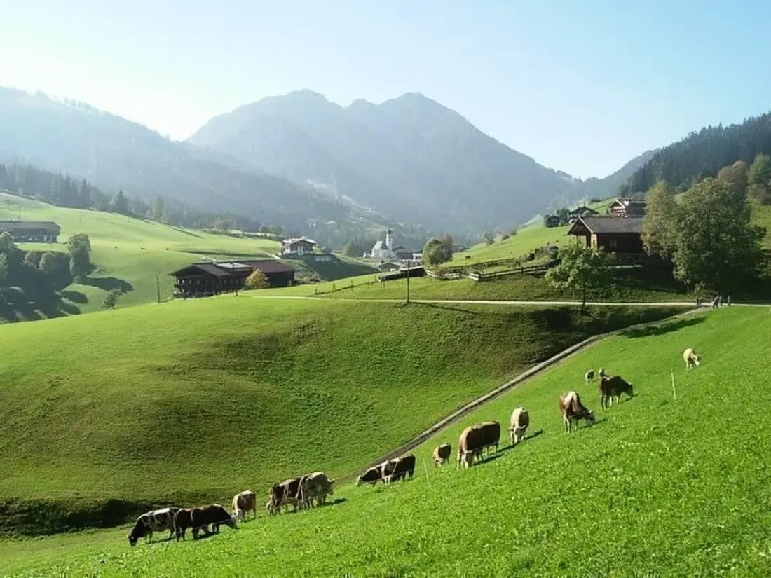 Résidence Fewo Bergblick