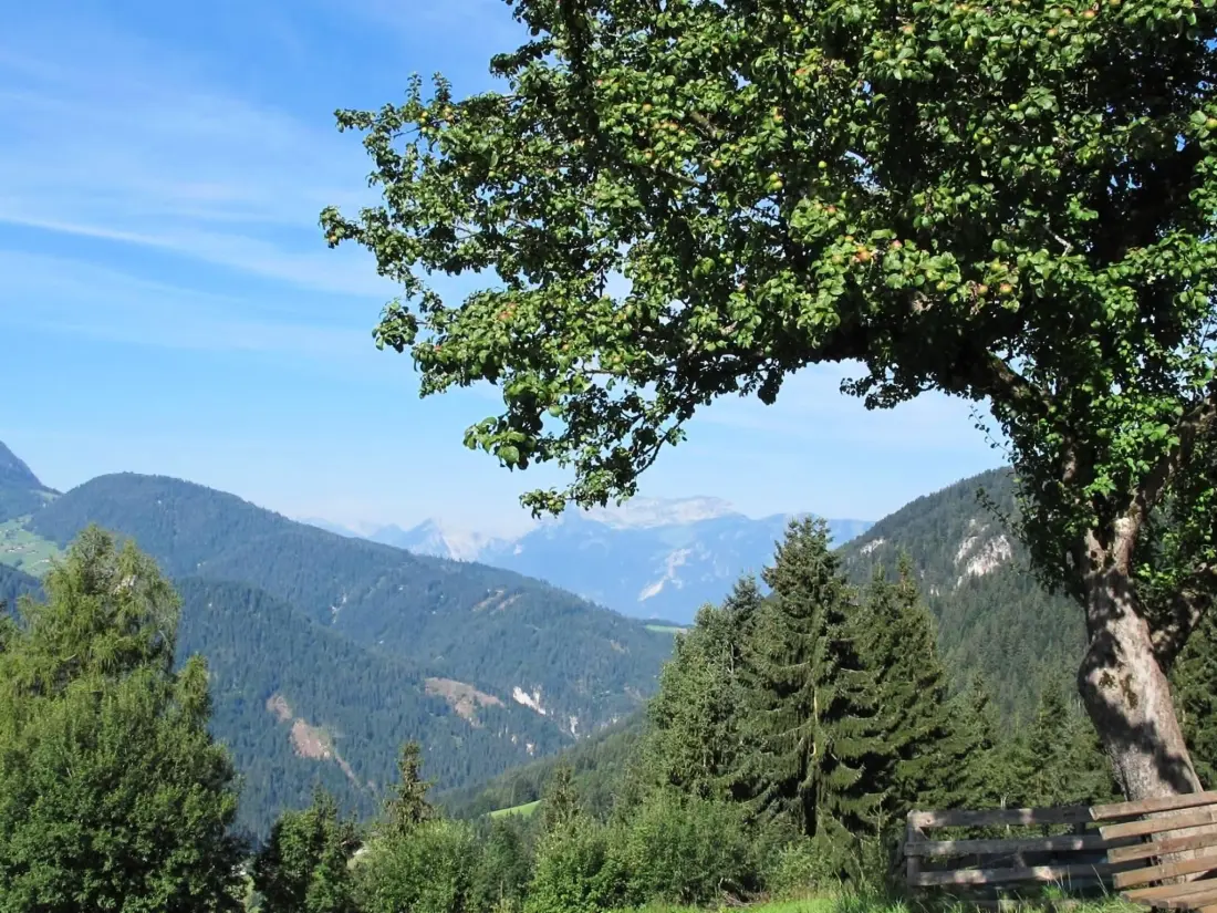Résidence Fewo Bergblick